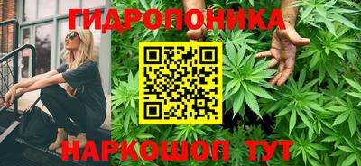ПСИЛОЦИБИНОВЫЕ ГРИБЫ Краснознаменск