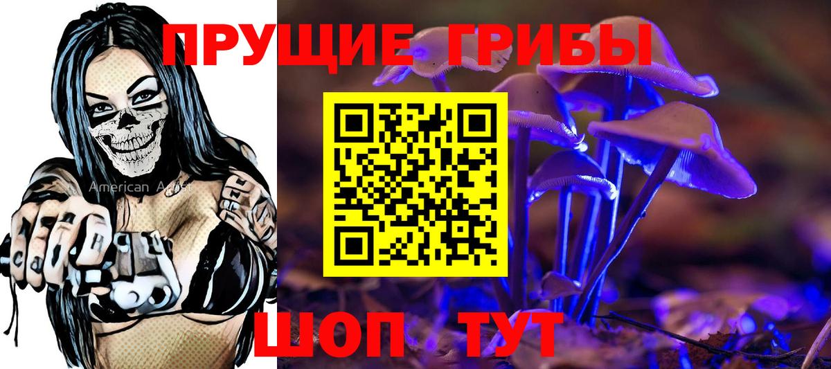 Каменка  Псилоцибиновые грибы Psilocybe  Вход с VPN 
