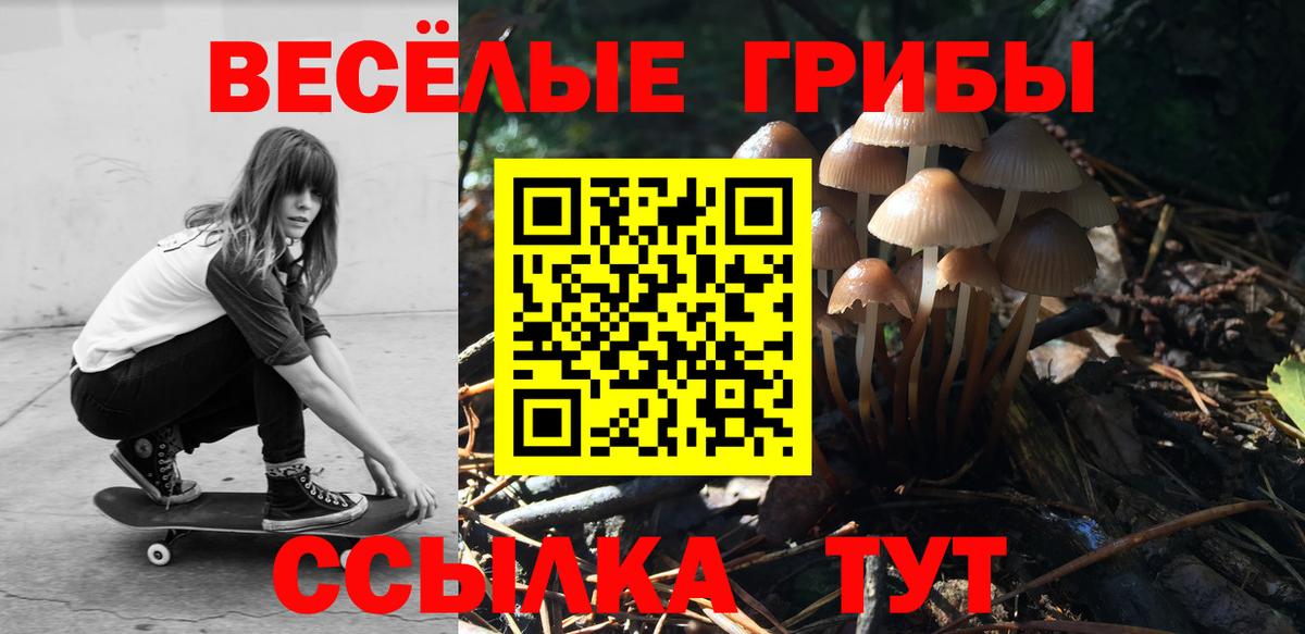 APVP Каменка