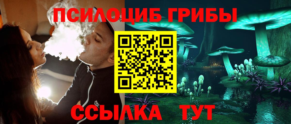 Псилоцибиновые грибы MAGIC MUSHROOMS Каменка
